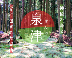 神秘の森と光に包まれた場所「泉津」