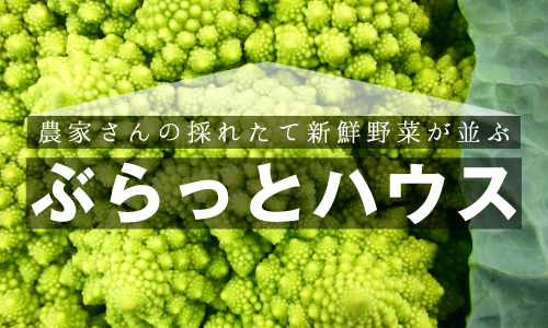 島の農産物直売所『ぶらっとハウス』