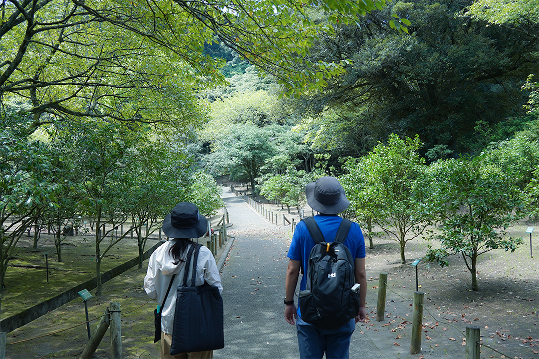 公園内を散策している様子